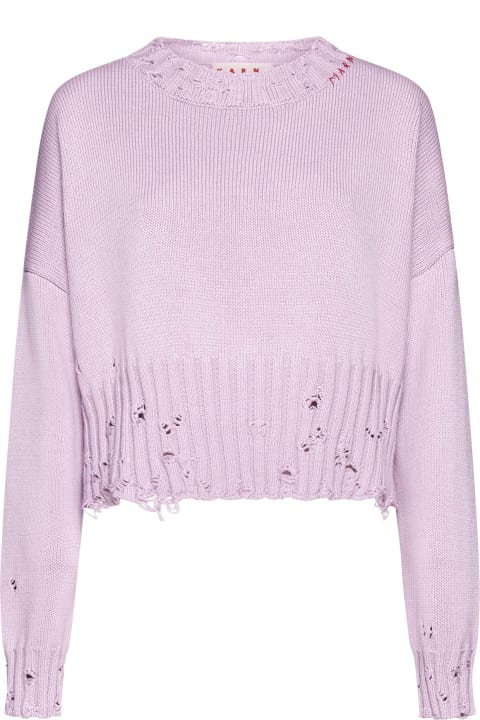 Sweaters for Women Marni Sweater