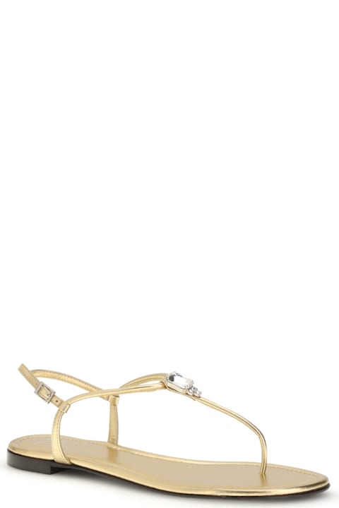 Homeware Giuseppe Zanotti Pia Mizuki Sandals