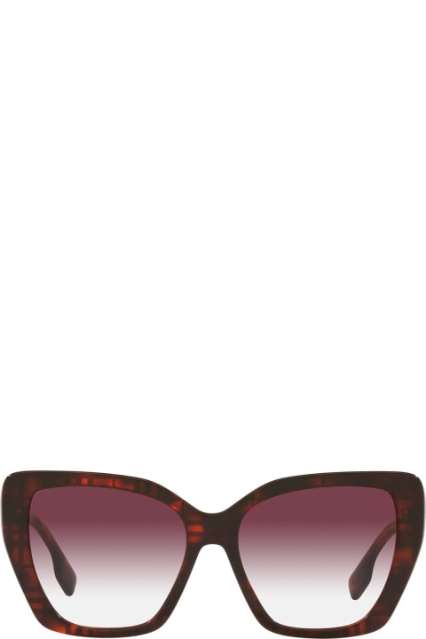 Be4366 Top Check / Red Havana Sunglasses