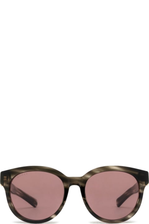 Accessories for Men Gucci Eyewear Gg1511sk Havana Sunglasses
