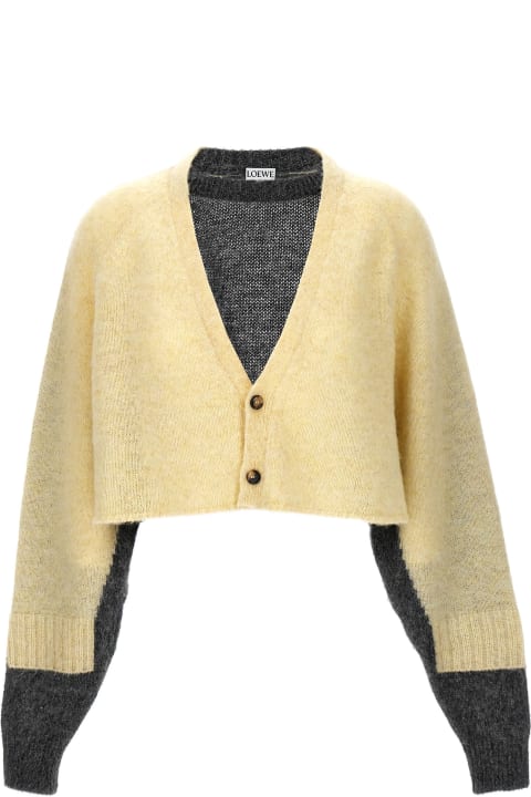 Sweaters for Women Loewe Crop Cardigan