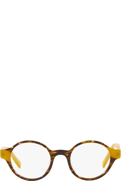A03132 Savane Brown/yellow Glasses