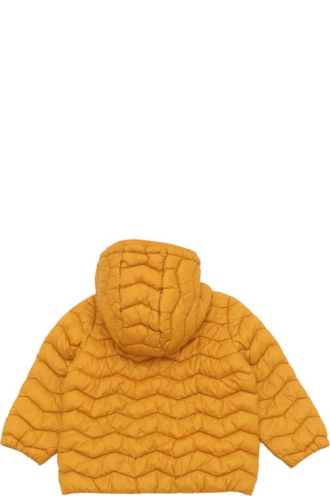 Fashion for Women K-Way E. Jack Quilted Warm