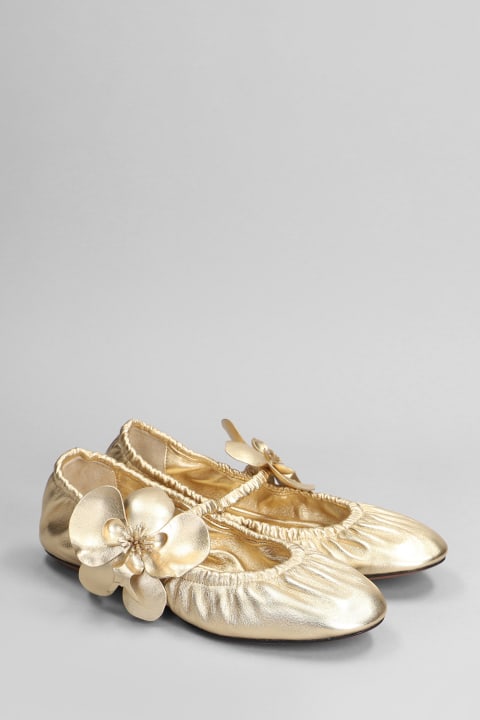 Flat Shoes for Women Zimmermann Ballet Flats In Gold Leather