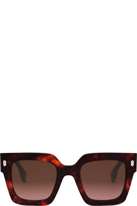 Fendi Eyewear Fe40101i Fendi Roma 54f Havana Rosso Sunglasses