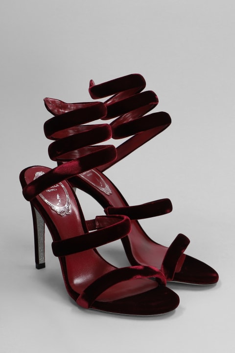 Shoes for Women René Caovilla Cleo Sandals In Bordeaux Velvet