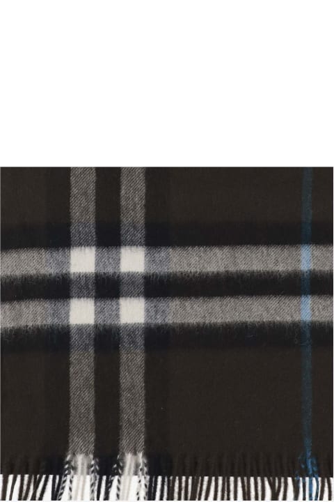 Scarves for Men Burberry 'mu Giant' Brown Cashmere Scarf