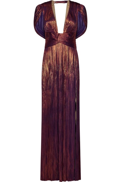 Clothing for Women Maria Lucia Hohan Laurel Long Dress