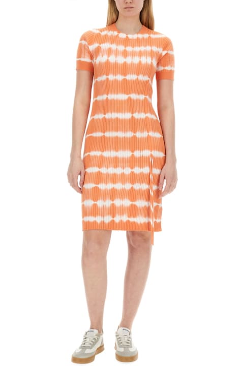 PS by Paul Smith for Women PS by Paul Smith Knit Dress
