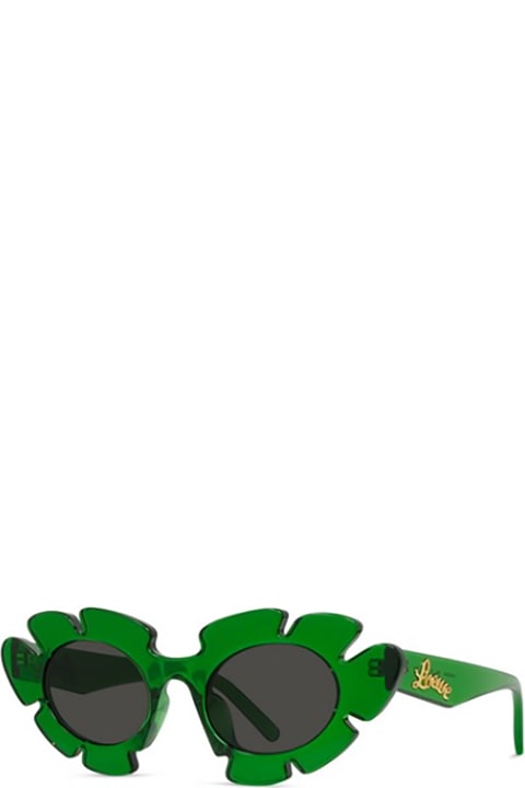 Homeware Loewe LW40088U Sunglasses