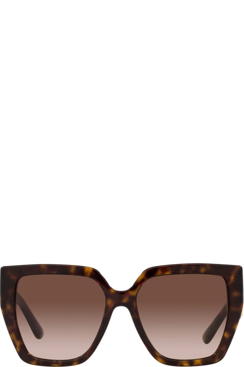 Dg4438 502/13 Sunglasses