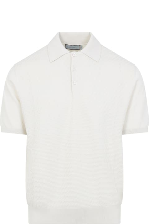 Canali for Women Canali Cotton Polo