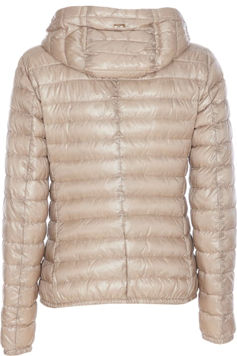 Homeware Herno Light Down Jacket