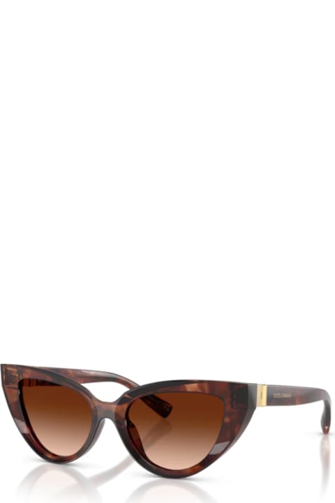 Dolce 
Gabbana Eyewear for Men Dolce 
Gabbana Eyewear Dolce 
Gabbana Dg4497 322274 Havana Rosso Scuro Sunglasses