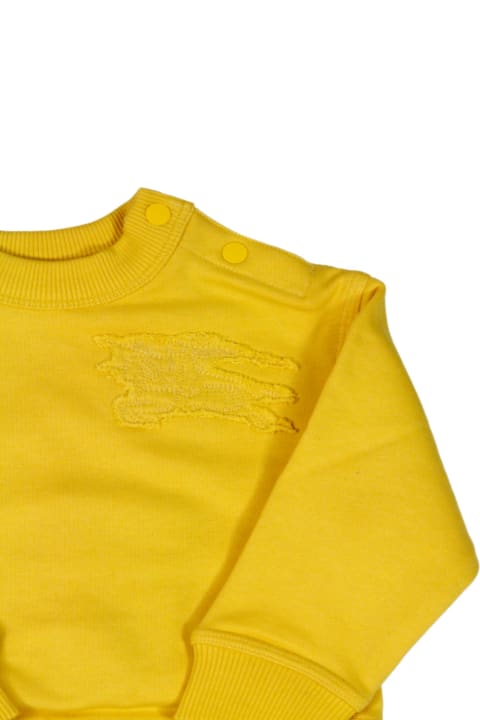 Sale for Kids Burberry Sweater