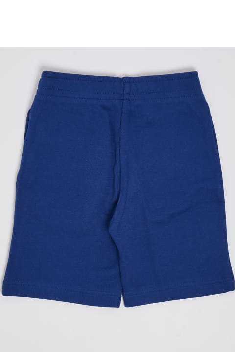 Lacoste Bottoms for Boys Lacoste Shorts Shorts