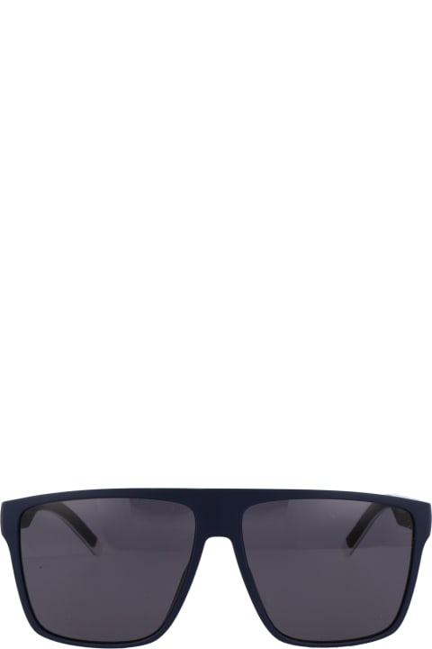 Tommy Hilfiger for Women Tommy Hilfiger Th 1717/s Sunglasses