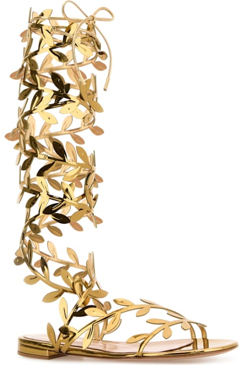 Homeware Gianvito Rossi 
flavia Galdiator
 Sandals