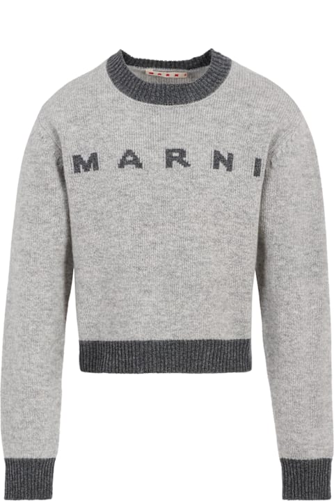 Homeware Marni Grey Sweater For Girl With Logo