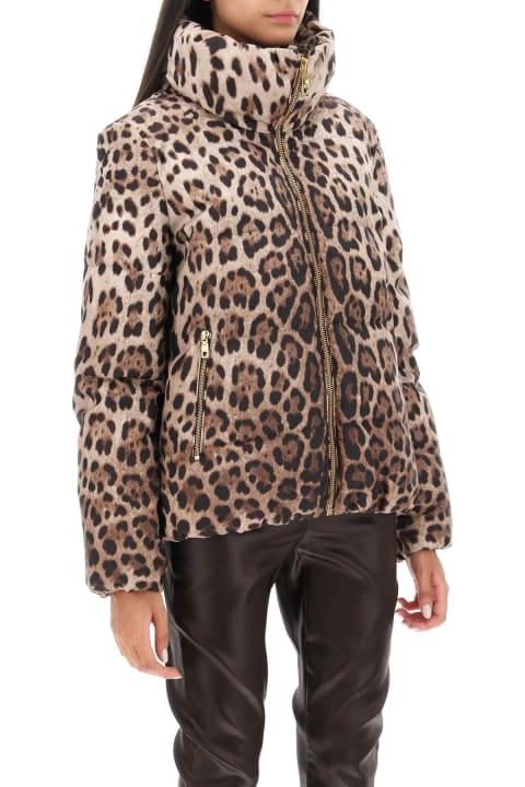 Dolce & Gabbana Coats & Jackets for Women Dolce & Gabbana Leopard Print Padded Jacket