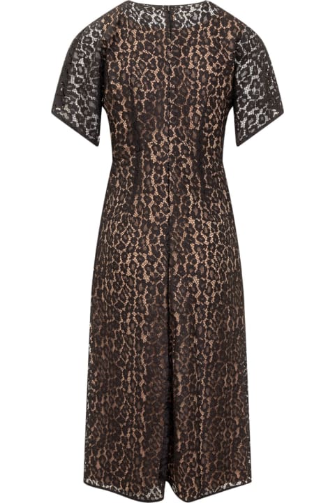 Michael Kors for Women Michael Kors Cheetah Lace Midi Dress