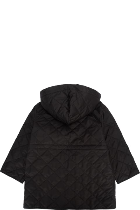 Burberry Kb6 Rowan