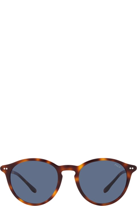 メンズ Polo Ralph Laurenのアイウェア Polo Ralph Lauren Ph4193 Shiny Red Havana Sunglasses