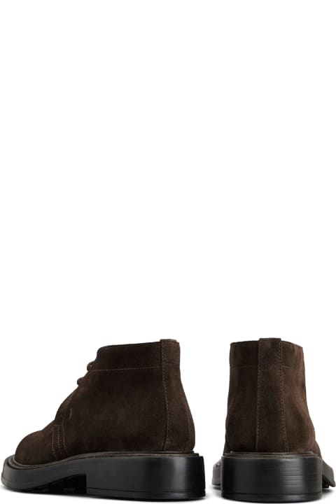 Tod's for Men Tod's Desert Boots In Brown Suede
