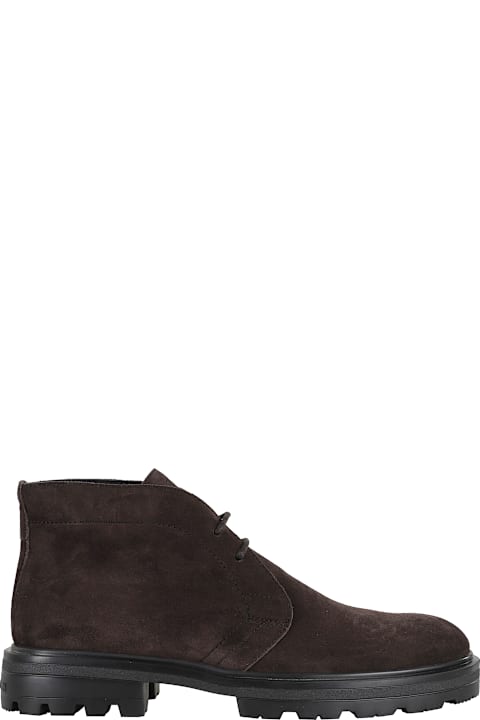 Homeware Hogan Polacchini H673