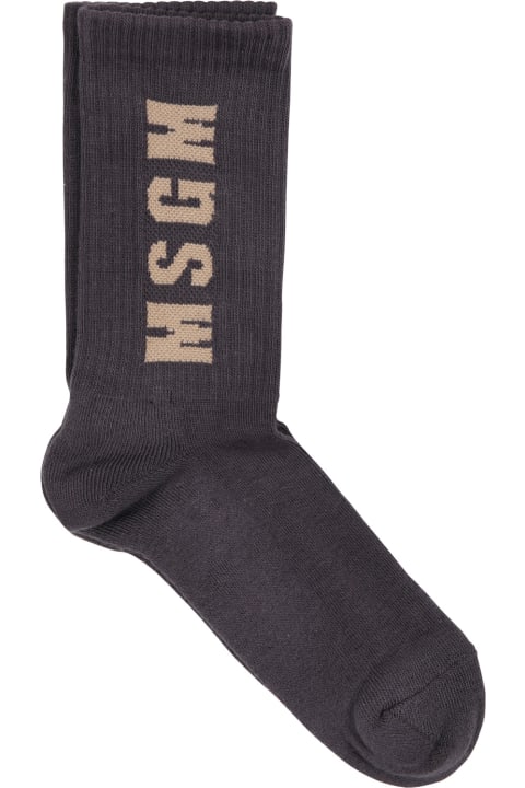 ボーイズ MSGMのアンダーウェア MSGM Gray Socks For Kids With Logo