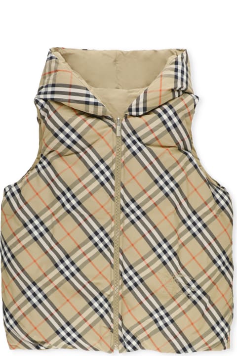 Homeware Burberry Axel Husky