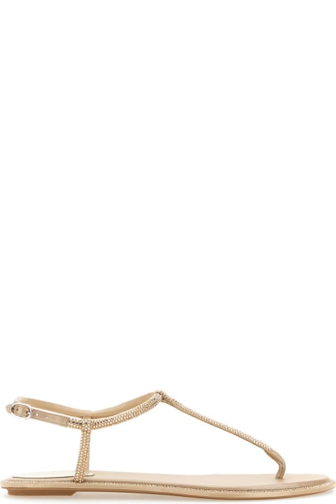 Sandals for Women René Caovilla Diana Sandal With Crystals