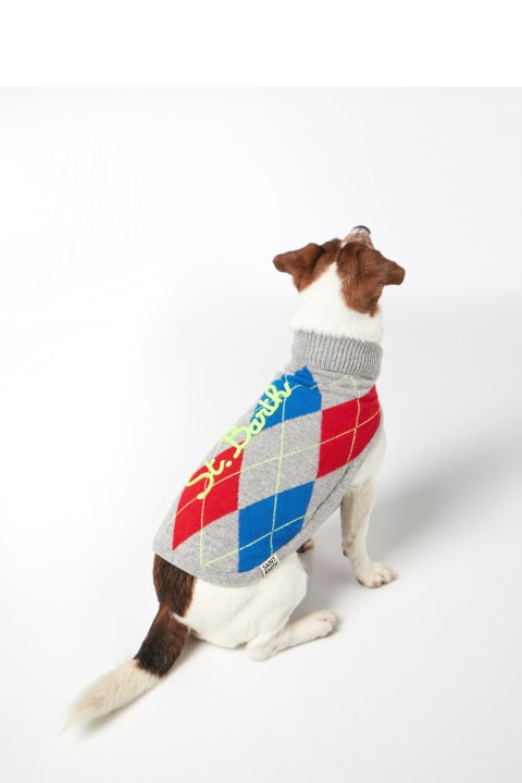Homeware MC2 Saint Barth Dog Sweater With Argyle Print