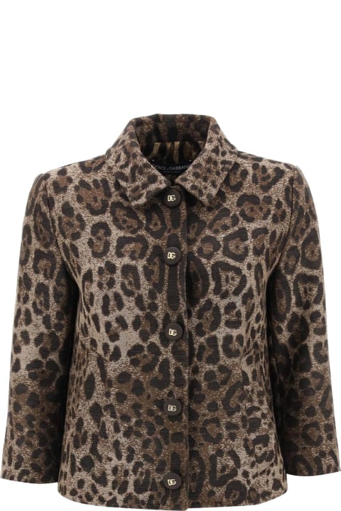 Dolce & Gabbana Clothing for Women Dolce & Gabbana Cropped Animalier Jacket