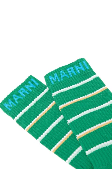 Underwear for Men Marni Socks
