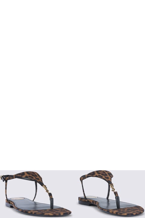 Saint Laurent Brown And Black Cassandra Flat