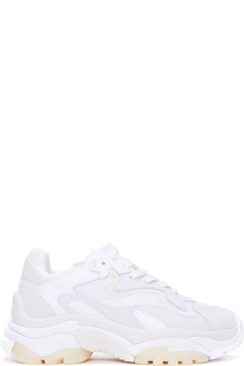 Ash Sneakers for Women Ash Addict Lace-up Sneakers