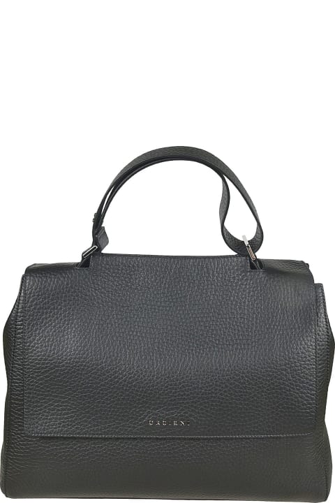 Orciani for Women Orciani Logo Top Handle Tote