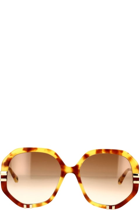 ウィメンズ新着アイテム Chloé Havana/brown West Sunglasses