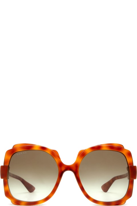 Gucci Eyewear Eyewear for Women Gucci Eyewear Gg1431s Havana Sunglasses