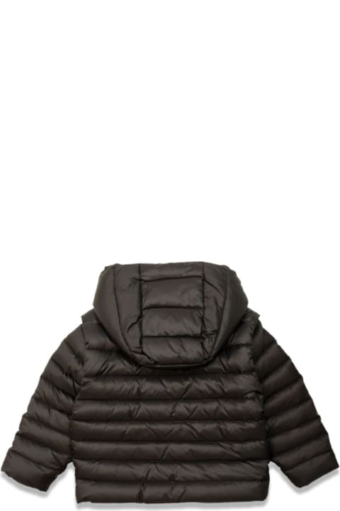 Homeware Balmain Quilts