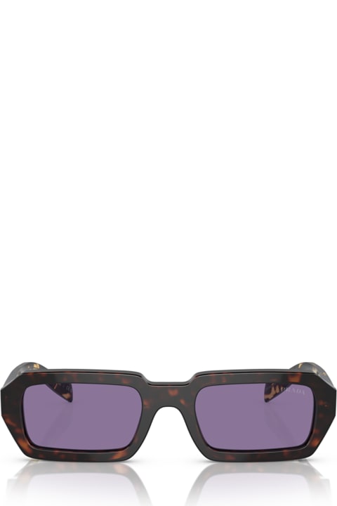 Fashion for Women Prada Eyewear Pr A12s Havana Sunglasses