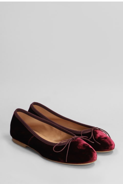 آخر صيحات الموضة من السيدات Anniel Ballet Flats In Bordeaux Velvet