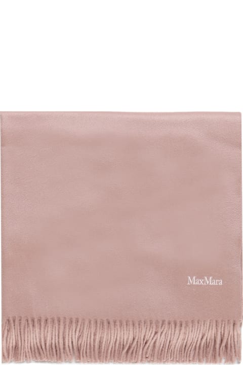 Scarves & Wraps for Women Max Mara Stole In Pure Sable Cashmere