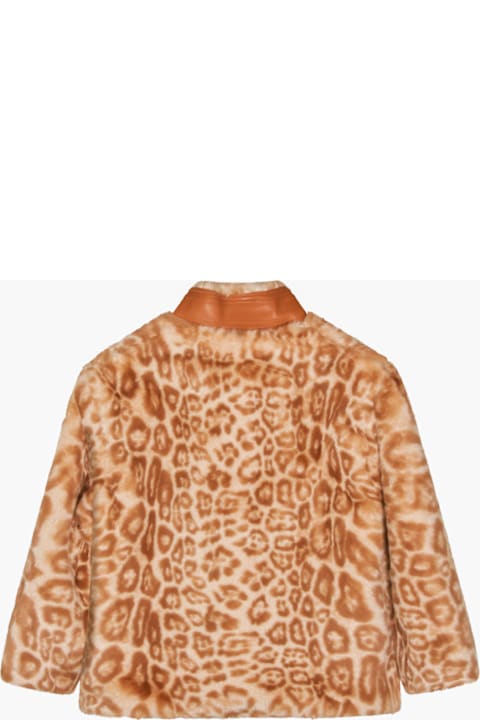 أدوات منزلية Chloé Brown Coat