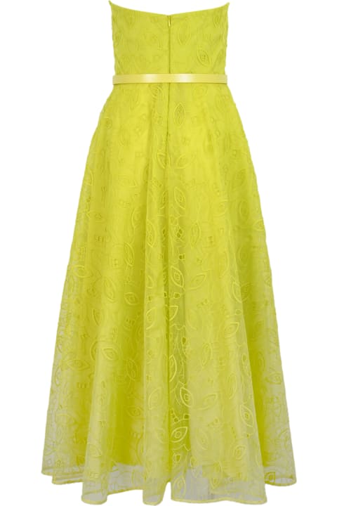 Dresses for Women Max Mara Studio 'stecca' Bustier Dress In Organza