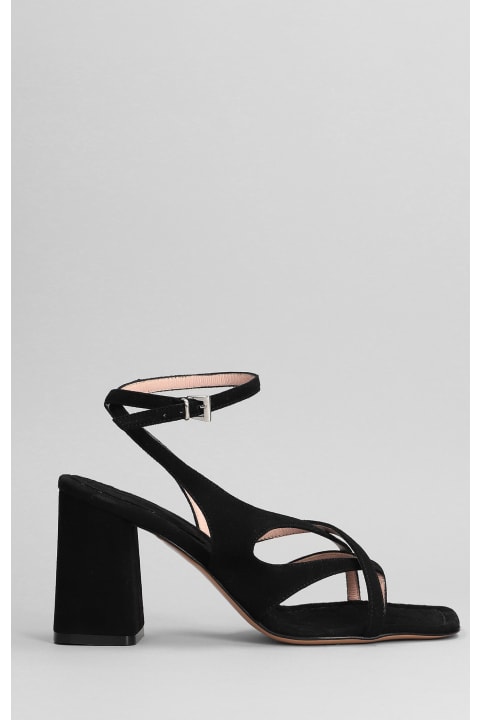 Sandals In Black Suede