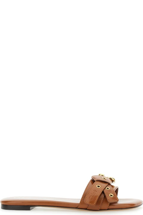 Chloé 
mae
 Brown Sandals With Strap Embellishment With Logo In Leather Woman