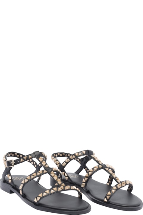 Ash for Men Ash Polinesia Sandals