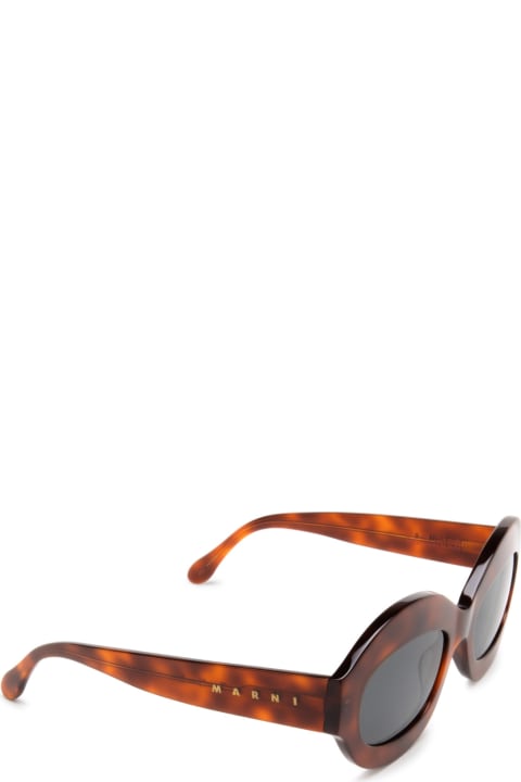 メンズ Marni Eyewearのアイウェア Marni Eyewear Ik Kil Cenote Havana Diversa Sunglasses